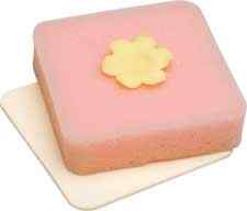 Wilton® Fondant Shaping Foam Set Wilton® Fondant Shaping Foam Set