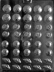 Shell Assortment