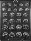 Daisy Assortment