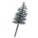Pine Tree - Small